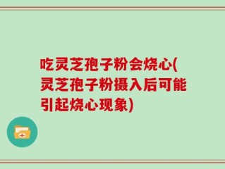 吃灵芝孢子粉会烧心(灵芝孢子粉摄入后可能引起烧心现象)