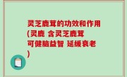 灵芝鹿茸的功效和作用(灵鹿 含灵芝鹿茸 可健脑益智 延缓衰老)