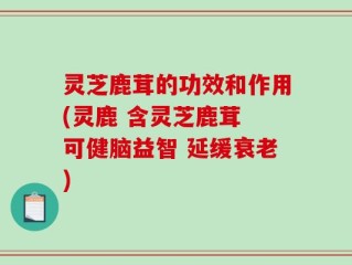 灵芝鹿茸的功效和作用(灵鹿 含灵芝鹿茸 可健脑益智 延缓衰老)