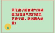 灵芝孢子超音速气流破壁(超音速气流打破灵芝孢子墙，激活最大能量)