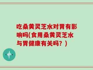 吃桑黄灵芝水对胃有影响吗(食用桑黄灵芝水与胃健康有关吗？)