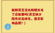 新鲜灵芝没太阳晒长毛了还能要吗(灵芝缺少阳光长出绒毛，是否影响品质？)