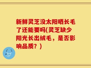 新鲜灵芝没太阳晒长毛了还能要吗(灵芝缺少阳光长出绒毛，是否影响品质？)