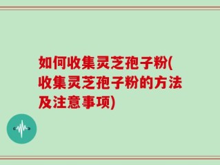 如何收集灵芝孢子粉(收集灵芝孢子粉的方法及注意事项)