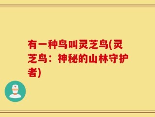 有一种鸟叫灵芝鸟(灵芝鸟：神秘的山林守护者)