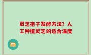 灵芝孢子发酵方法？人工种植灵芝的适合温度
