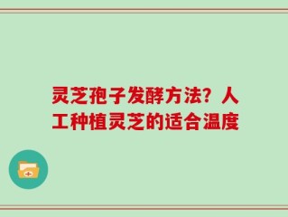 灵芝孢子发酵方法？人工种植灵芝的适合温度