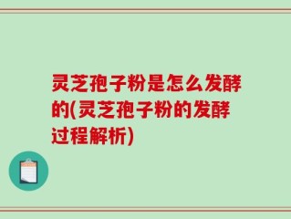 灵芝孢子粉是怎么发酵的(灵芝孢子粉的发酵过程解析)