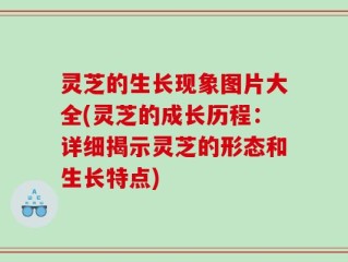 灵芝的生长现象图片大全(灵芝的成长历程：详细揭示灵芝的形态和生长特点)