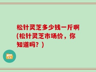 松针灵芝多少钱一斤啊(松针灵芝市场价，你知道吗？)