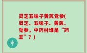 灵芝五味子黄芪党参(灵芝、五味子、黄芪、党参，中药材谁是“药王”？)
