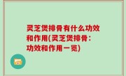 灵芝煲排骨有什么功效和作用(灵芝煲排骨：功效和作用一览)