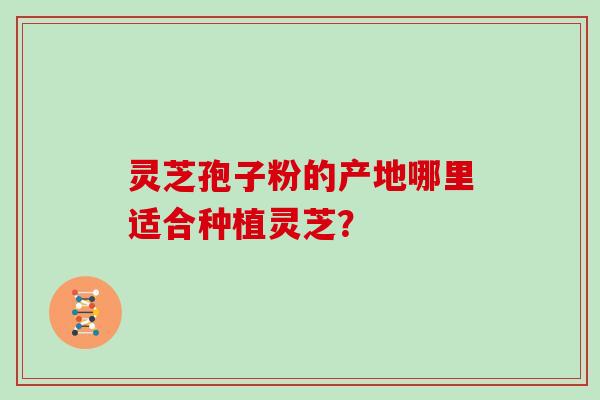 灵芝孢子粉的产地哪里适合种植灵芝？