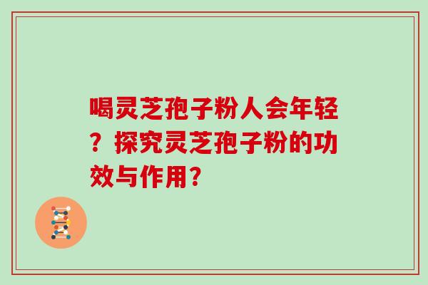 喝灵芝孢子粉人会年轻？探究灵芝孢子粉的功效与作用？