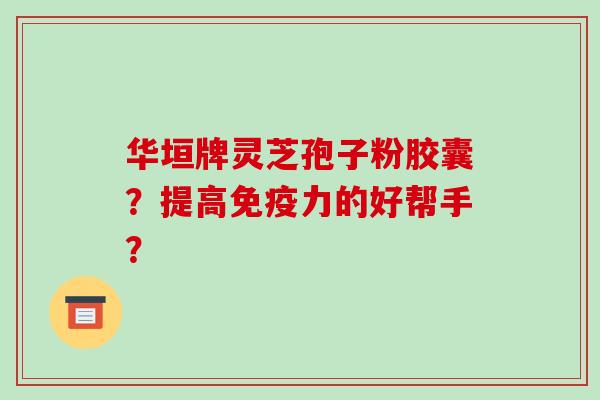 华垣牌灵芝孢子粉胶囊？提高免疫力的好帮手？