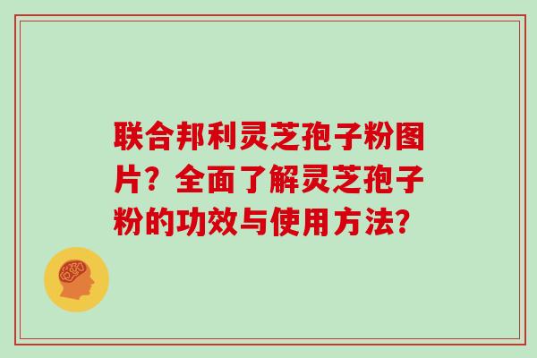 联合邦利灵芝孢子粉图片？全面了解灵芝孢子粉的功效与使用方法？