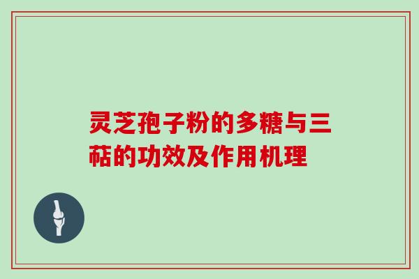 灵芝孢子粉的多糖与三萜的功效及作用机理