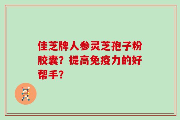 佳芝牌人参灵芝孢子粉胶囊？提高免疫力的好帮手？