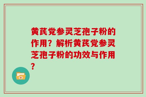 黄芪党参灵芝孢子粉的作用？解析黄芪党参灵芝孢子粉的功效与作用？