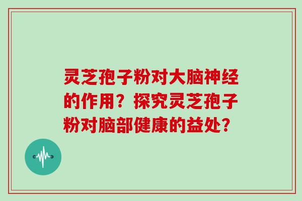 灵芝孢子粉对大脑的作用？探究灵芝孢子粉对脑部健康的益处？