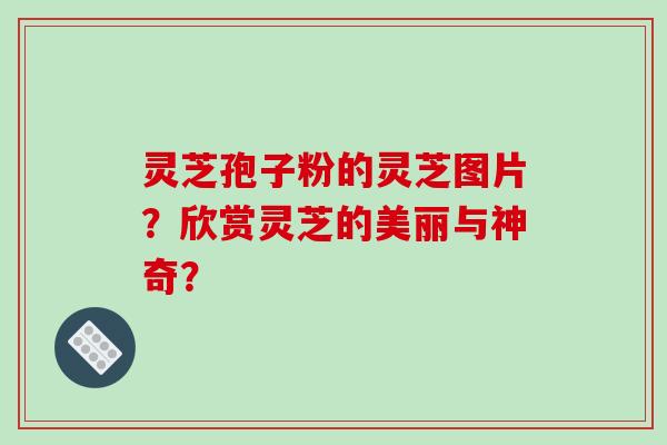 灵芝孢子粉的灵芝图片？欣赏灵芝的美丽与神奇？