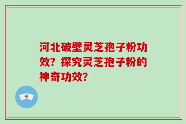 河北破壁灵芝孢子粉功效？探究灵芝孢子粉的神奇功效？