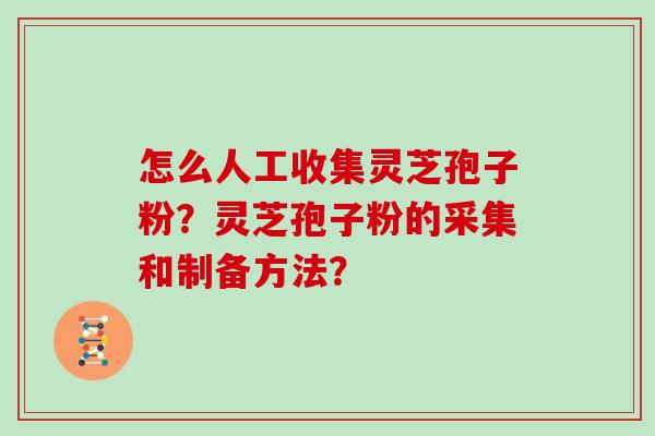 怎么人工收集灵芝孢子粉？灵芝孢子粉的采集和制备方法？