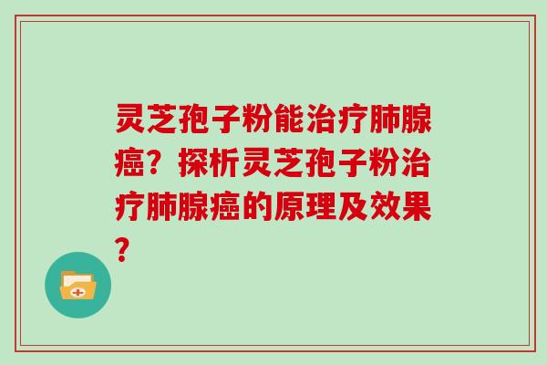 灵芝孢子粉能腺？探析灵芝孢子粉腺的原理及效果？