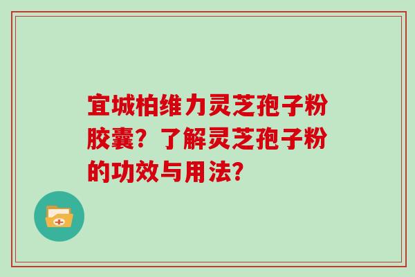 宜城柏维力灵芝孢子粉胶囊？了解灵芝孢子粉的功效与用法？