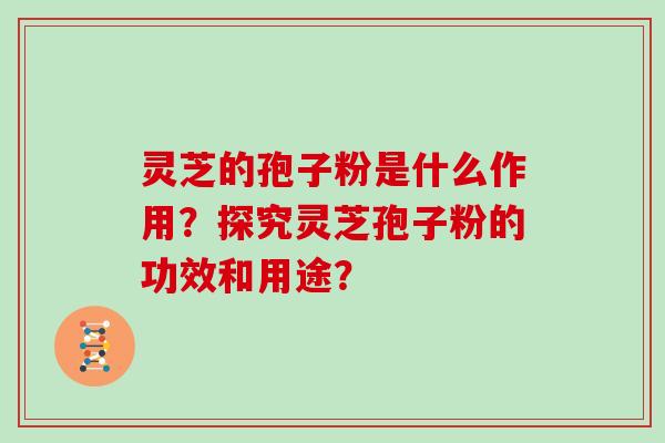 灵芝的孢子粉是什么作用？探究灵芝孢子粉的功效和用途？