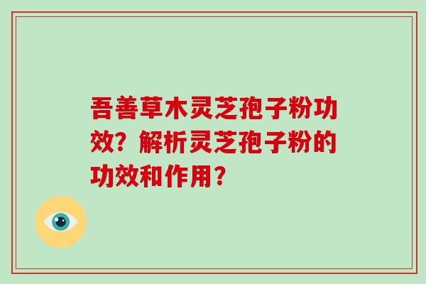 吾善草木灵芝孢子粉功效？解析灵芝孢子粉的功效和作用？