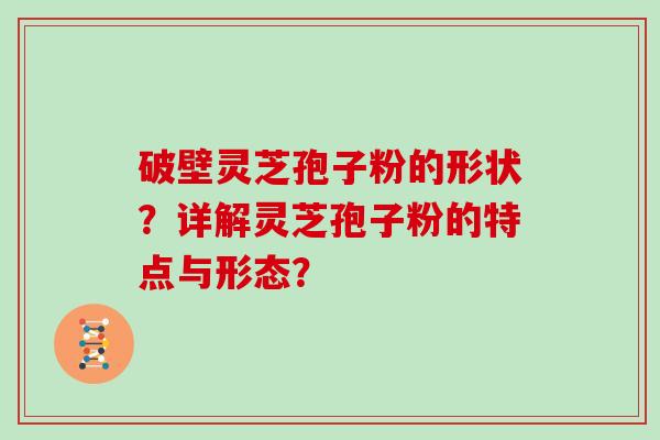 破壁灵芝孢子粉的形状？详解灵芝孢子粉的特点与形态？
