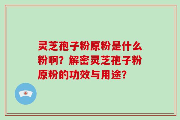 灵芝孢子粉原粉是什么粉啊？解密灵芝孢子粉原粉的功效与用途？