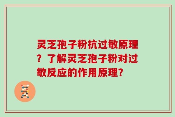 灵芝孢子粉抗原理？了解灵芝孢子粉对反应的作用原理？