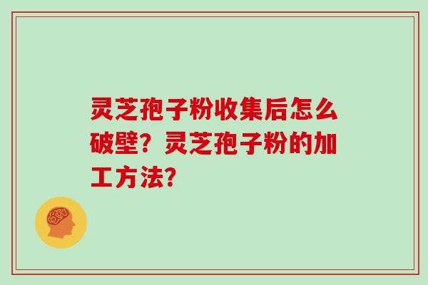 灵芝孢子粉收集后怎么破壁？灵芝孢子粉的加工方法？
