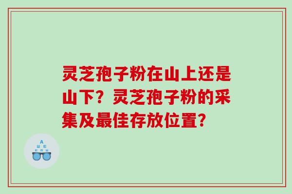 灵芝孢子粉在山上还是山下？灵芝孢子粉的采集及佳存放位置？