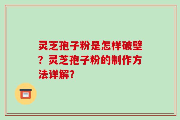 灵芝孢子粉是怎样破壁？灵芝孢子粉的制作方法详解？