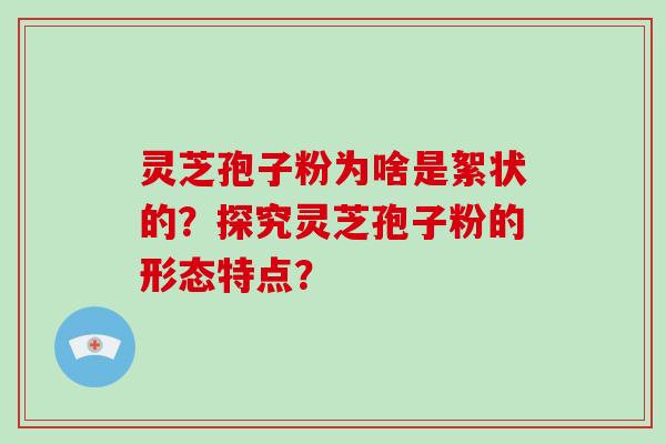 灵芝孢子粉为啥是絮状的？探究灵芝孢子粉的形态特点？