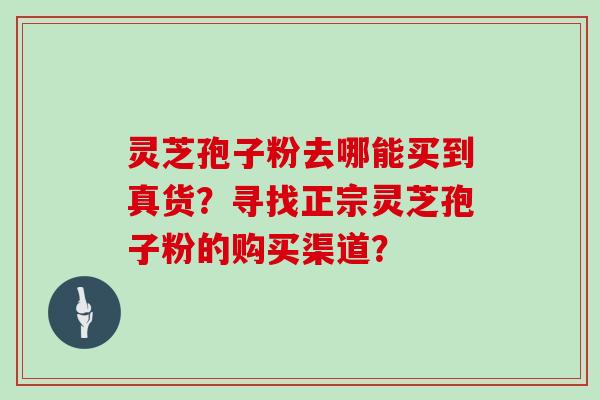 灵芝孢子粉去哪能买到真货？寻找正宗灵芝孢子粉的购买渠道？