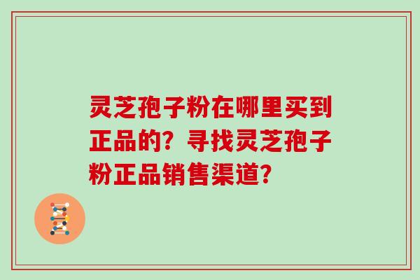 灵芝孢子粉在哪里买到正品的？寻找灵芝孢子粉正品销售渠道？