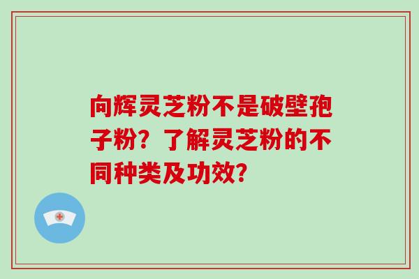 向辉灵芝粉不是破壁孢子粉？了解灵芝粉的不同种类及功效？