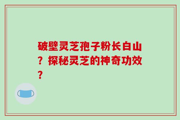 破壁灵芝孢子粉长白山?探秘灵芝的神奇功效? 破壁灵芝孢子粉长白山?探秘灵芝的神奇功效?