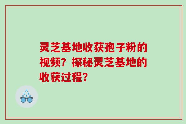 灵芝基地收获孢子粉的视频？探秘灵芝基地的收获过程？