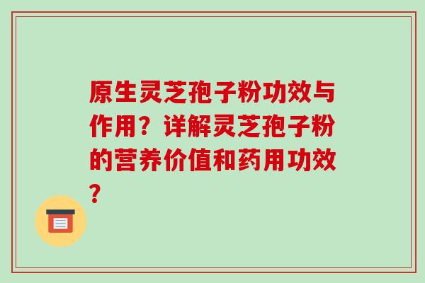 原生灵芝孢子粉功效与作用？详解灵芝孢子粉的营养价值和药用功效？