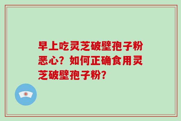 早上吃灵芝破壁孢子粉恶心？如何正确食用灵芝破壁孢子粉？
