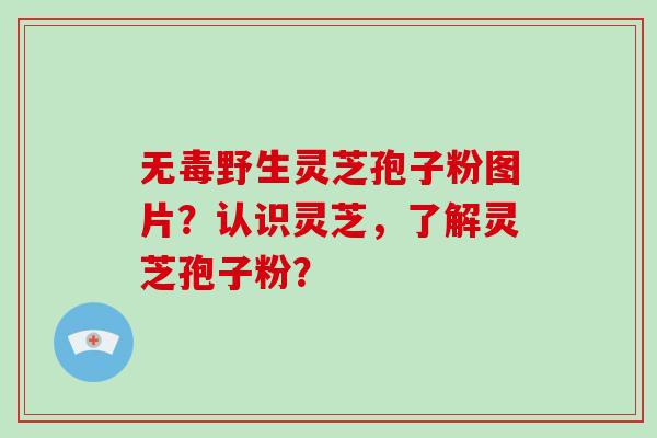 无毒野生灵芝孢子粉图片？认识灵芝，了解灵芝孢子粉？