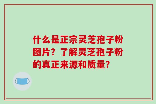 什么是正宗灵芝孢子粉图片？了解灵芝孢子粉的真正来源和质量？