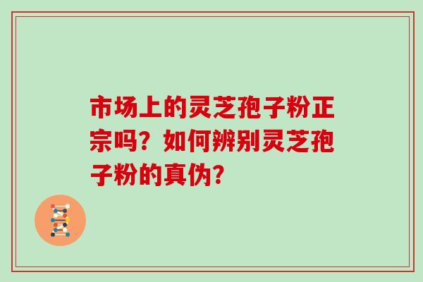 市场上的灵芝孢子粉正宗吗？如何辨别灵芝孢子粉的真伪？
