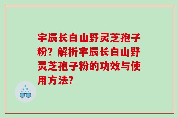 宇辰长白山野灵芝孢子粉？解析宇辰长白山野灵芝孢子粉的功效与使用方法？