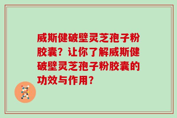 威斯健破壁灵芝孢子粉胶囊？让你了解威斯健破壁灵芝孢子粉胶囊的功效与作用？